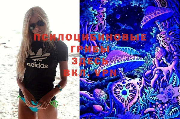 мдпв Вязники